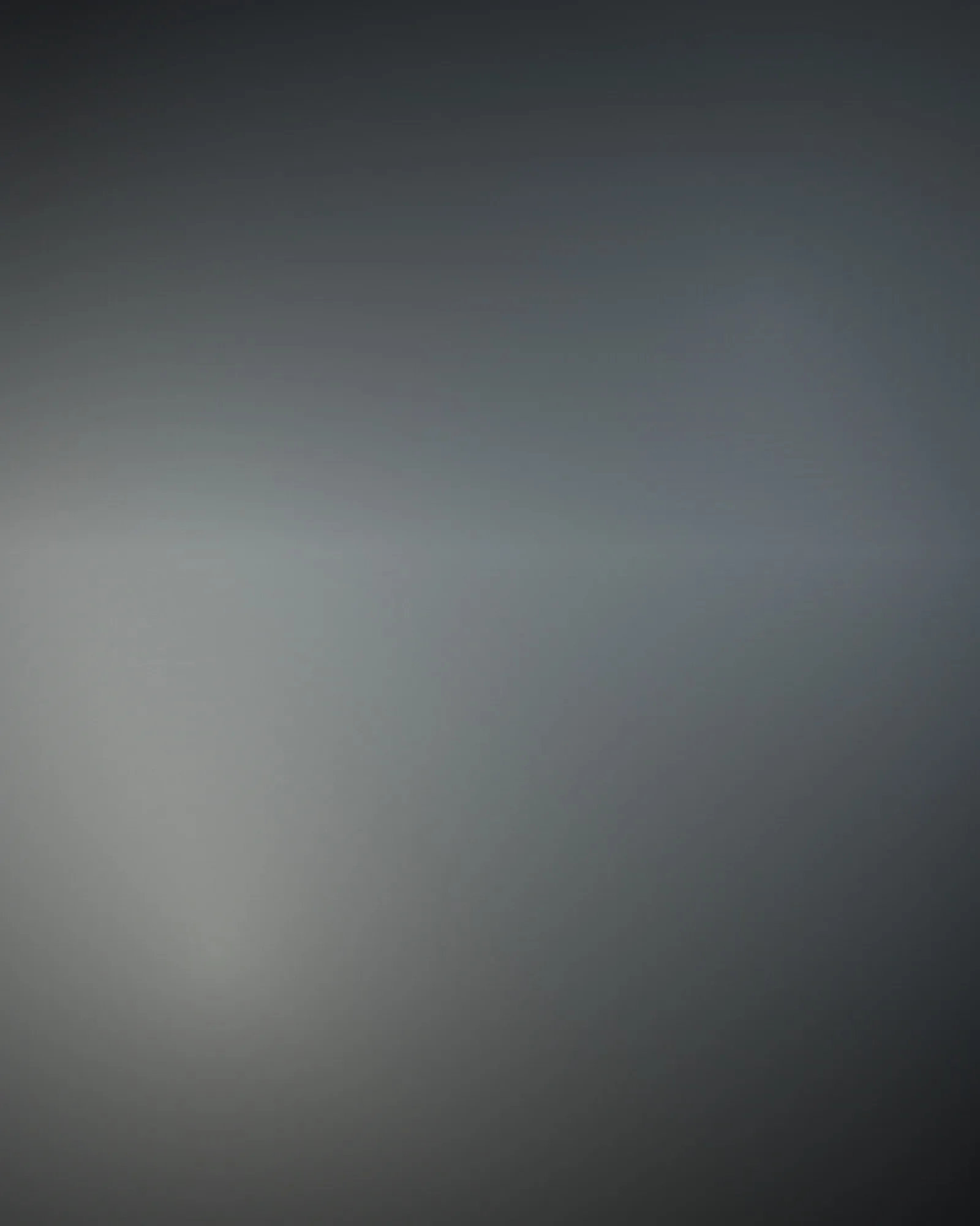 [segnaposto] Composizione astratta nei toni #2b2f33, #6f7a80, #d9dcd6, al posto di una fotografia.