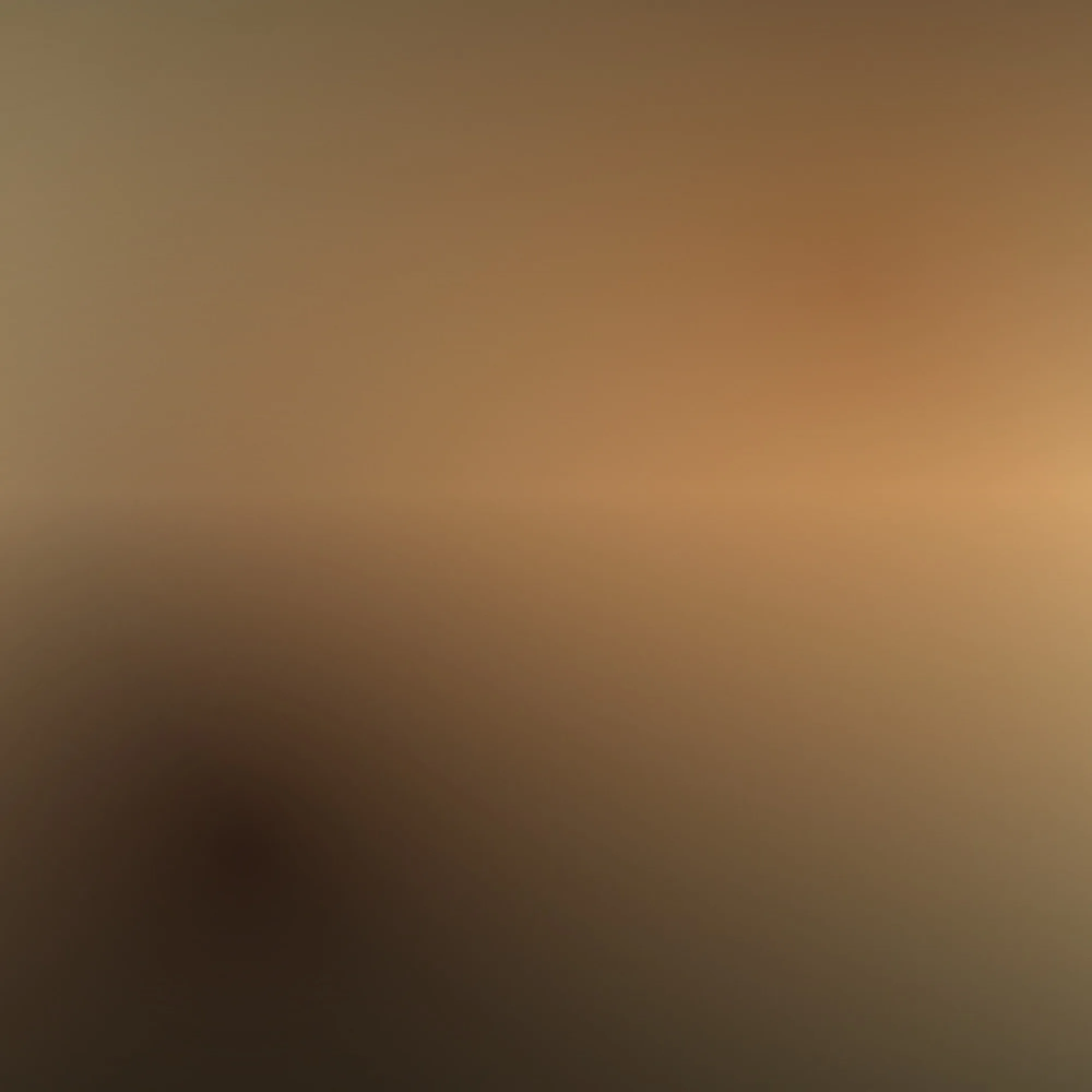 [segnaposto] Composizione astratta nei toni #e8c88f, #b97a46, #3d2418, al posto di una fotografia.