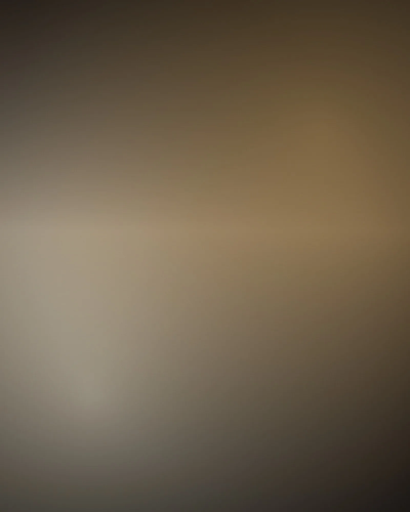 [segnaposto] Composizione astratta nei toni #3d3228, #a08052, #ede0c8, al posto di una fotografia.